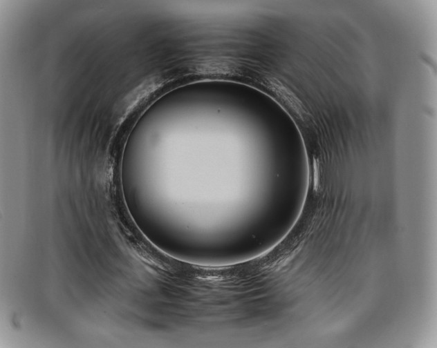X0000096670723200802051222