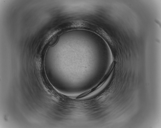 X0000096670724200802051222