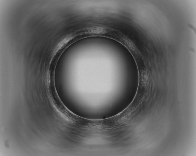 X0000096670726200802051222