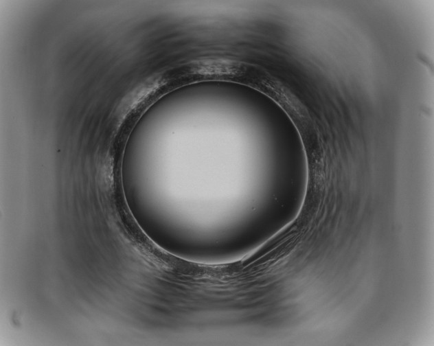 X0000096670727200802051222