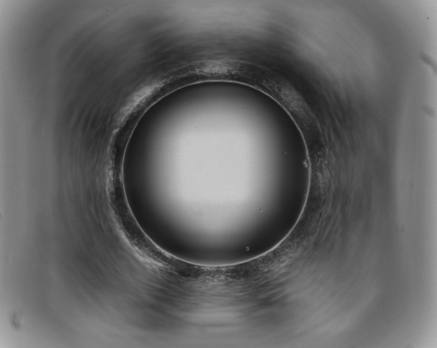 X0000096670728200802051222