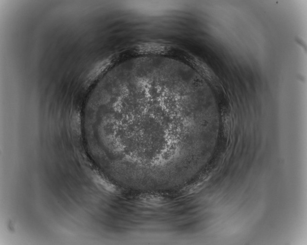 X0000096670729200802051222