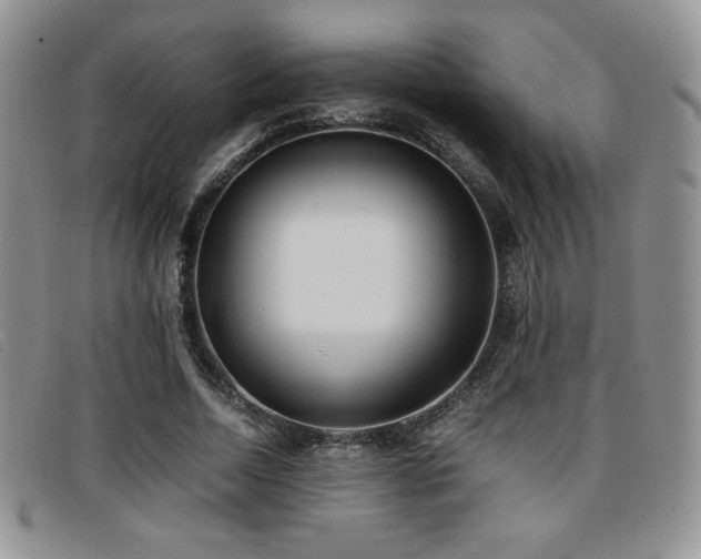 X0000096670730200802051222
