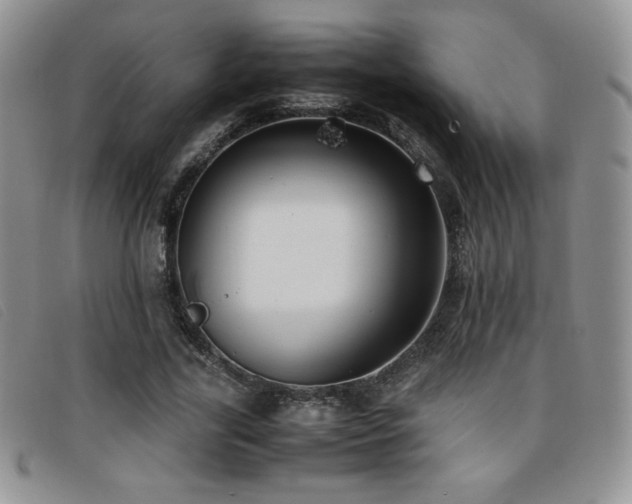 X0000096670731200802051222