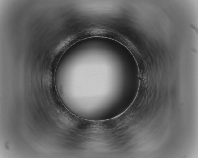 X0000096670732200802051222