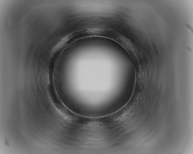 X0000096670734200802051222
