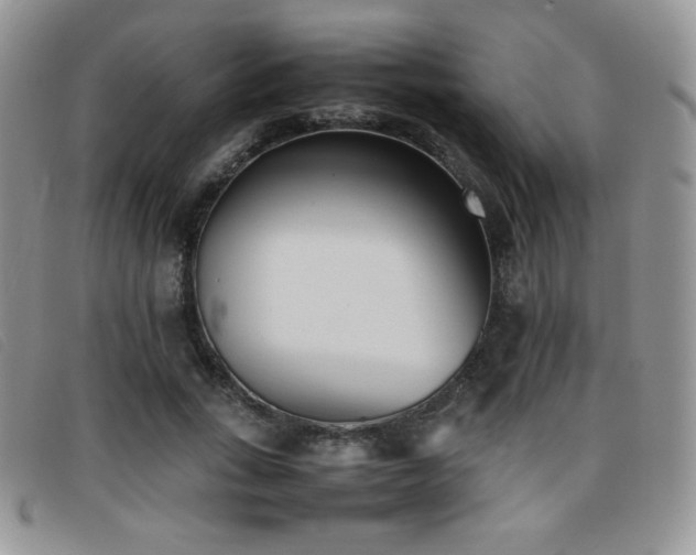 X0000096670735200802051222