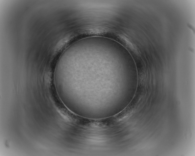 X0000096670736200802051222