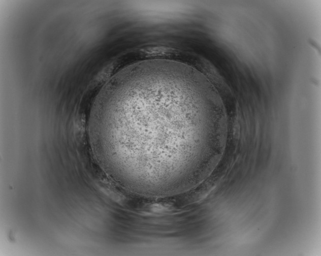 X0000096670737200802051222