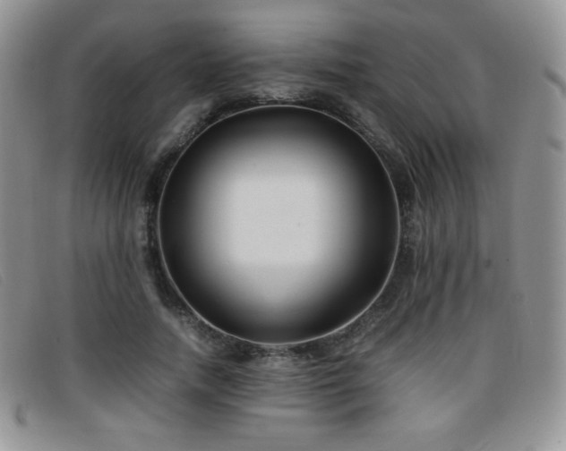 X0000096670738200802051222
