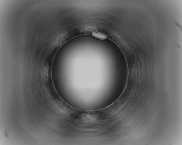 X0000096670739200802051222