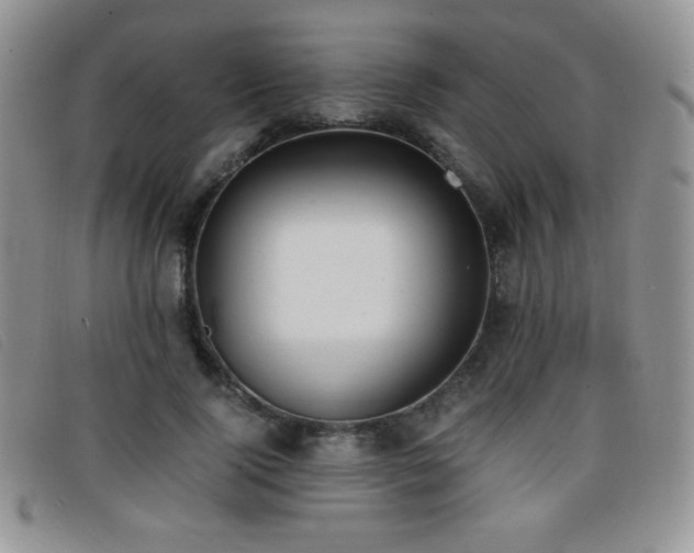 X0000096670740200802051222