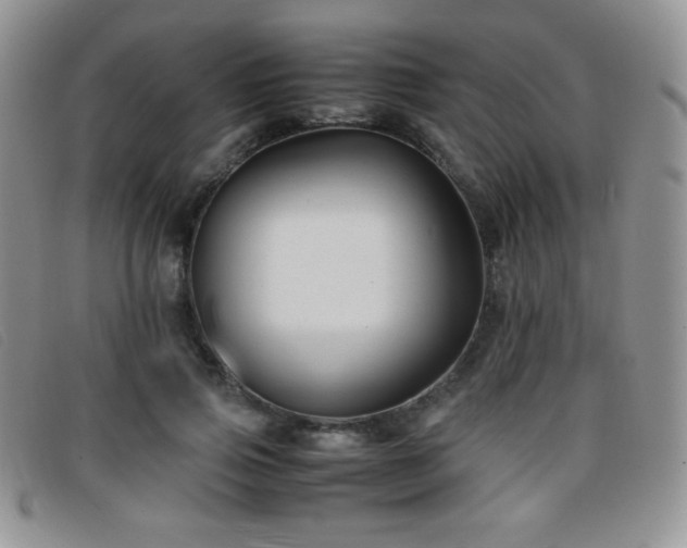 X0000096670741200802051222