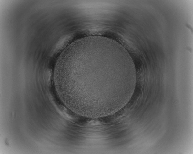 X0000096670742200802051222