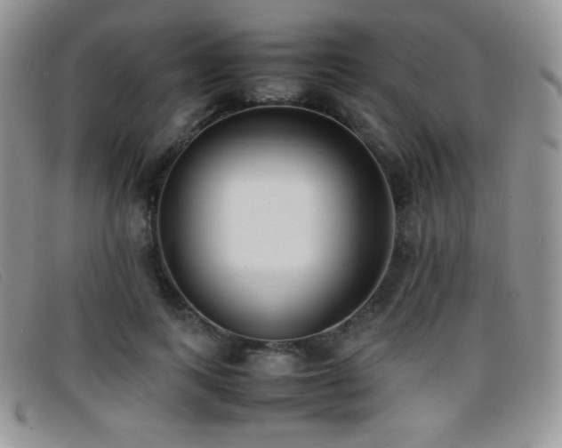 X0000096670743200802051222