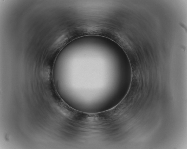 X0000096670744200802051222