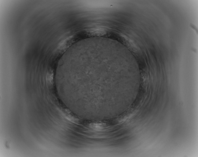 X0000096670745200802051222