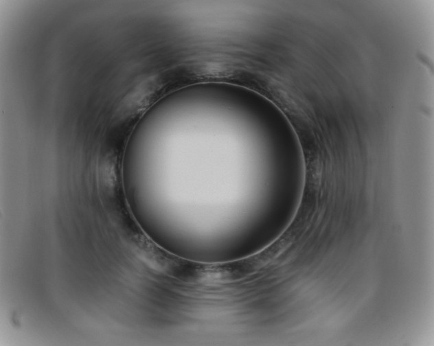 X0000096670746200802051222