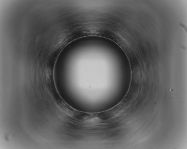 X0000096670747200802051222