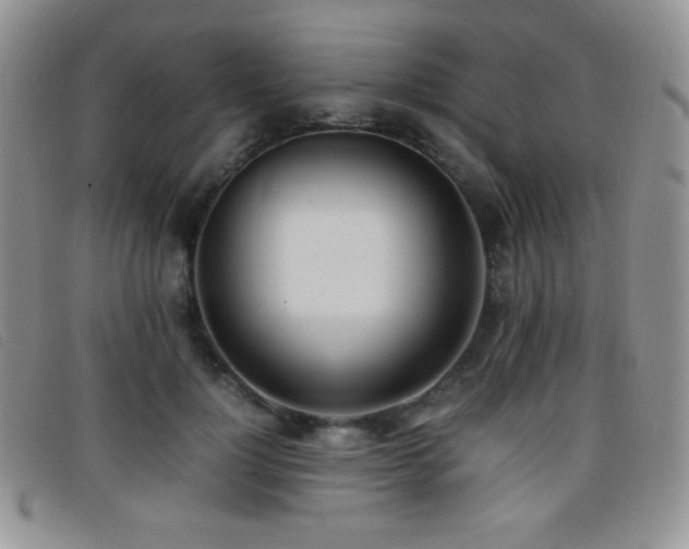 X0000096670748200802051222