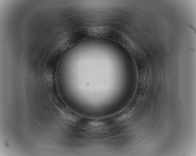 X0000096670749200802051222