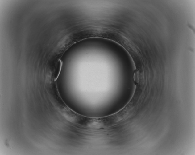 X0000096670750200802051222