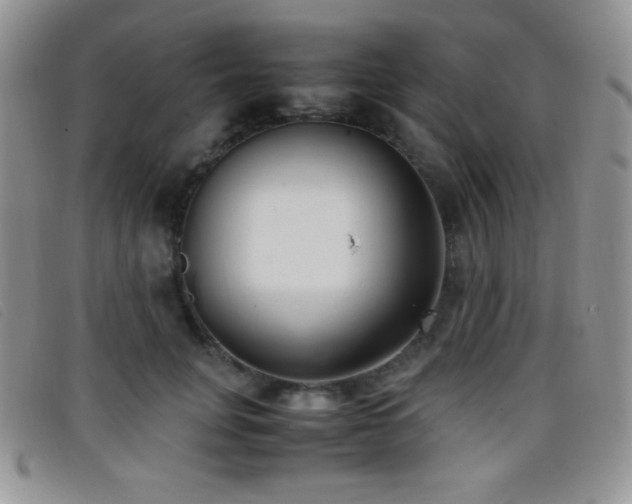 X0000096670751200802051222