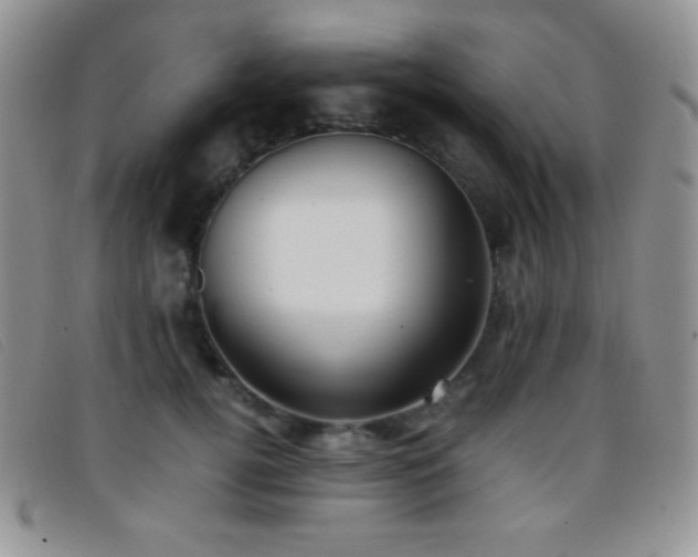 X0000096670752200802051222