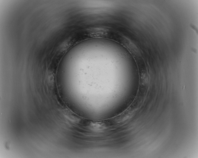X0000096670753200802051222