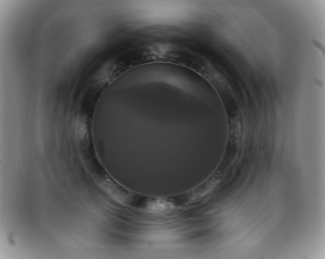 X0000096670754200802051222