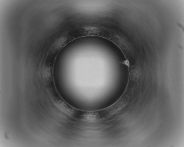 X0000096670756200802051222