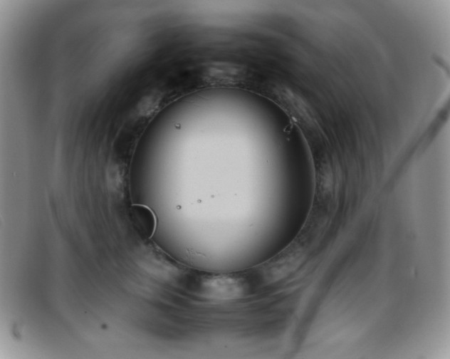 X0000096670759200802051222