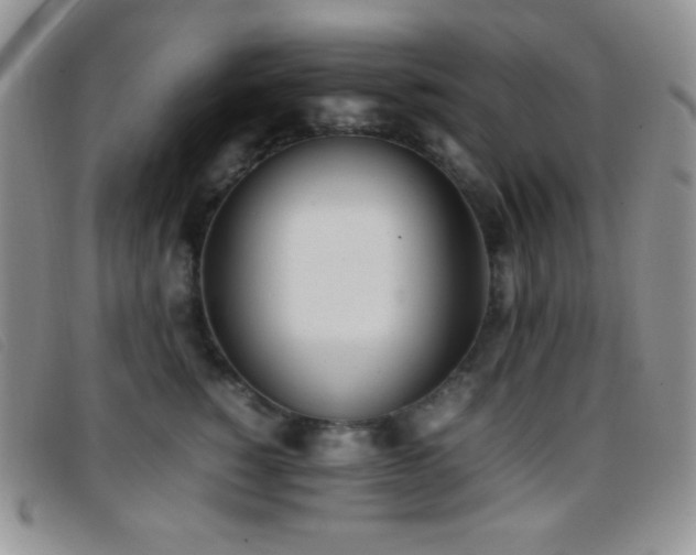 X0000096670760200802051222
