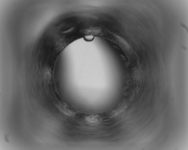 X0000096670761200802051222