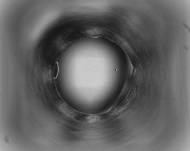 X0000096670762200802051222