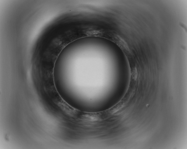 X0000096670763200802051222