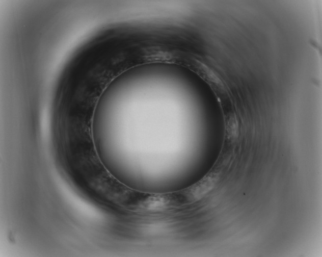X0000096670764200802051222