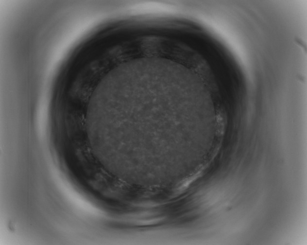 X0000096670765200802051222