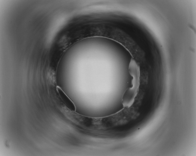 X0000096670766200802051222