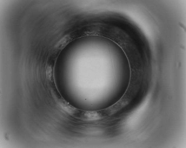 X0000096670767200802051222