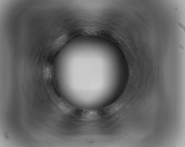 X0000096670768200802051222
