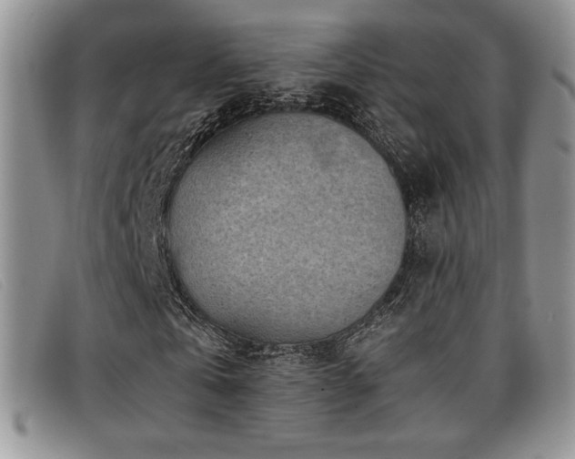 X0000096670769200802051222