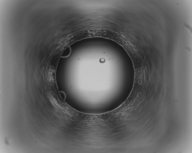 X0000096670770200802051222