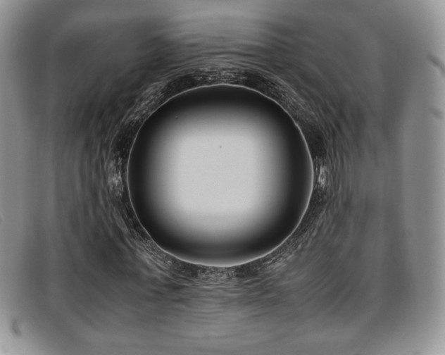 X0000096670771200802051222