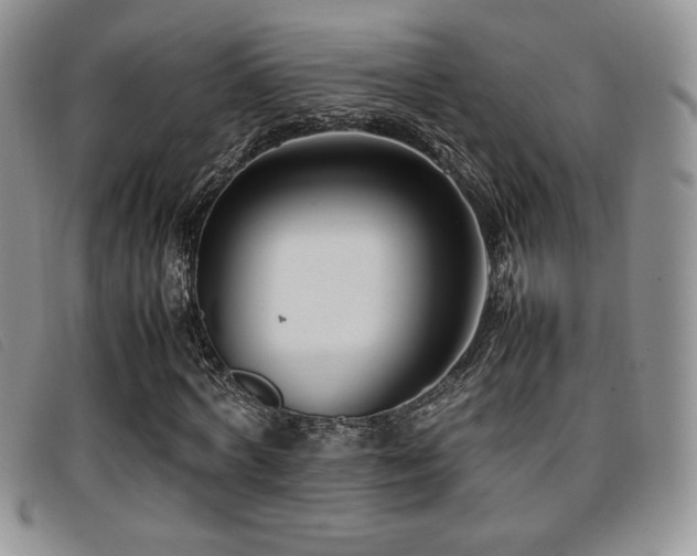 X0000096670772200802051222