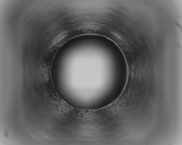 X0000096670774200802051222