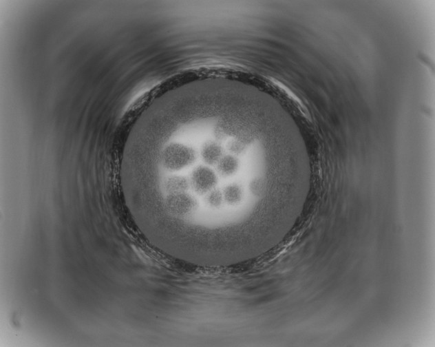 X0000096670775200802051222