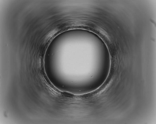 X0000096670777200802051222