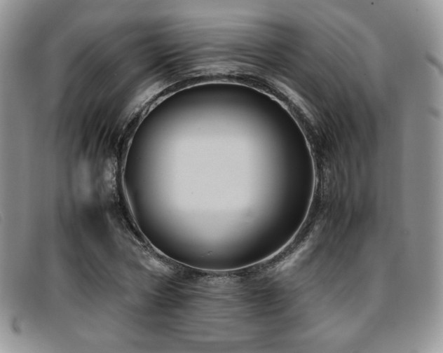 X0000096670778200802051222