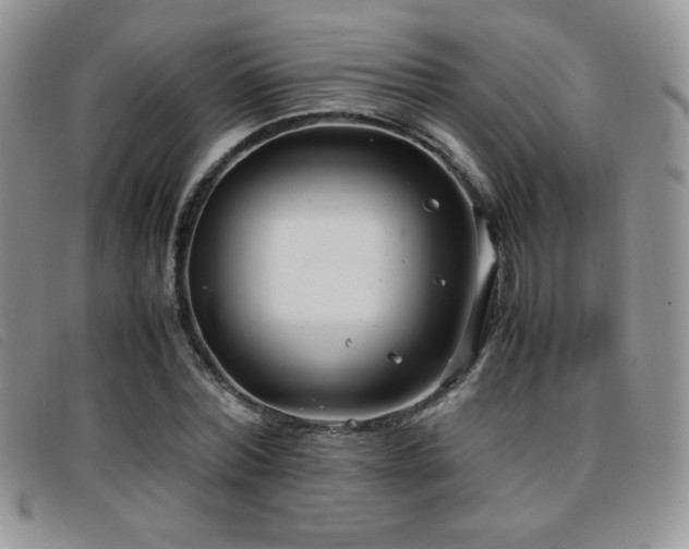 X0000096670780200802051222
